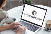 Postavitev WordPress strani